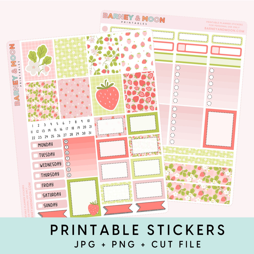 printable weekly planner sticker kit for planning