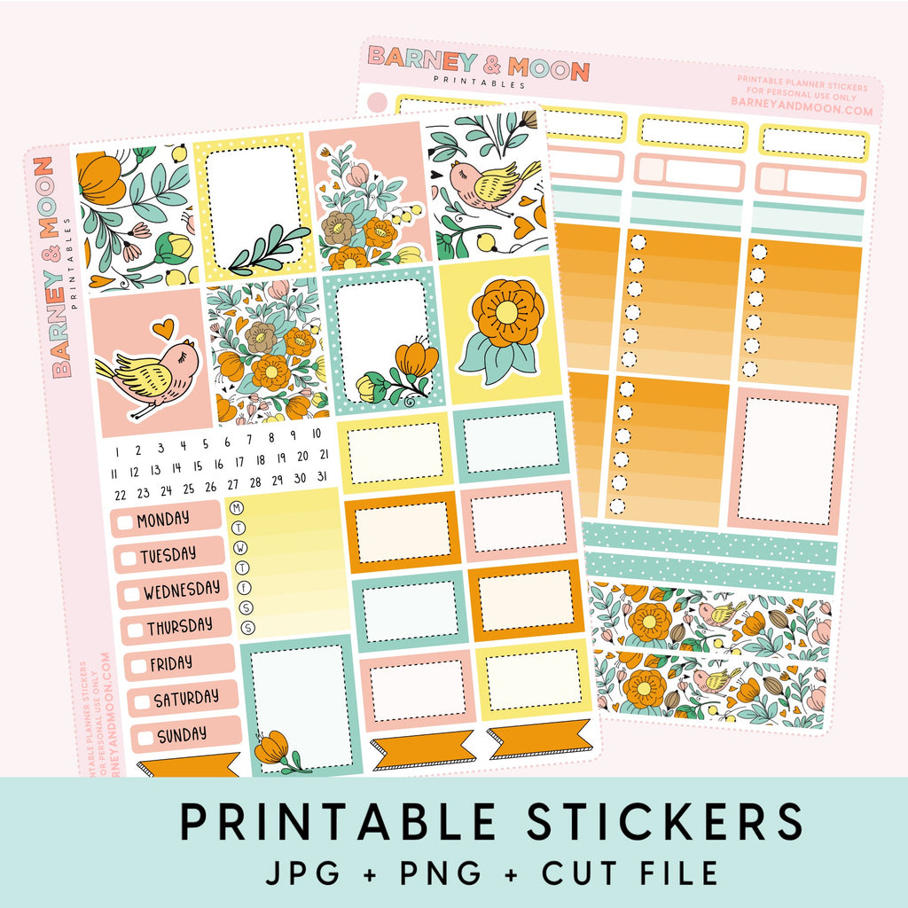 printable weekly planner sticker kit for planning